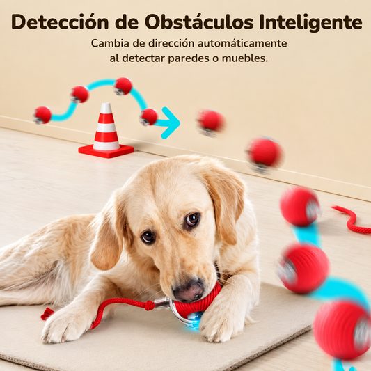 Pelota Interactiva PawRoll™